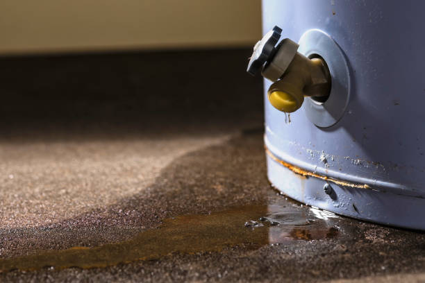 Best Water damage restoration near me  in New Castle Northwest, PA