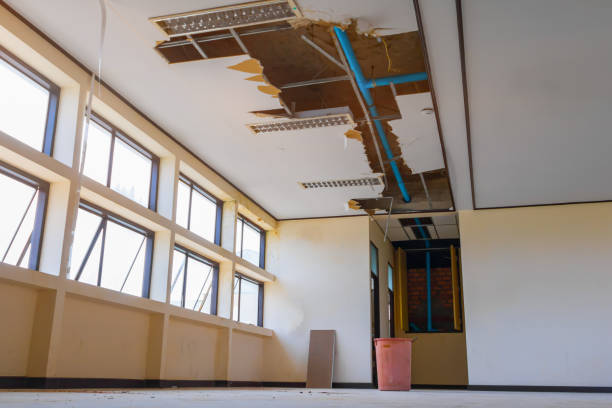 Best Carpet water damage restoration  in New Castle Northwest, PA