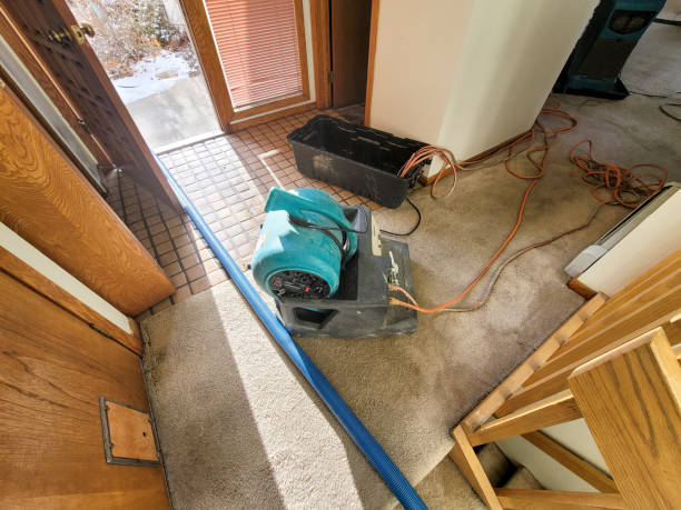 Best 24/7 water damage repair  in New Castle Northwest, PA