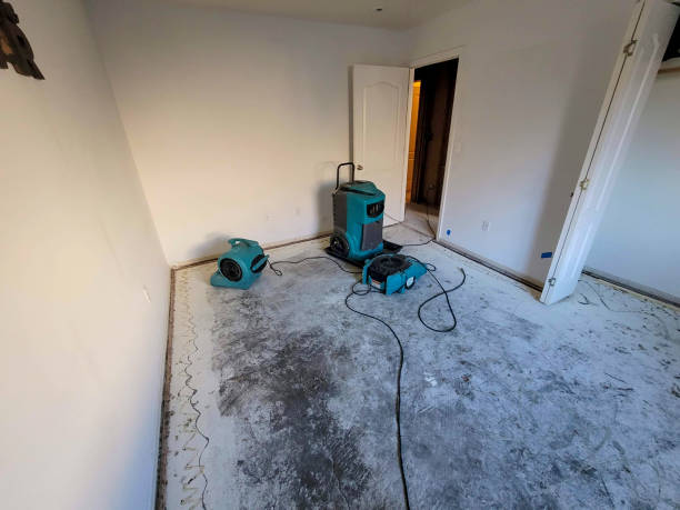 Best Flooded house restoration  in New Castle Northwest, PA