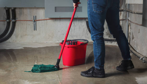 Best 24/7 water damage repair  in New Castle Northwest, PA