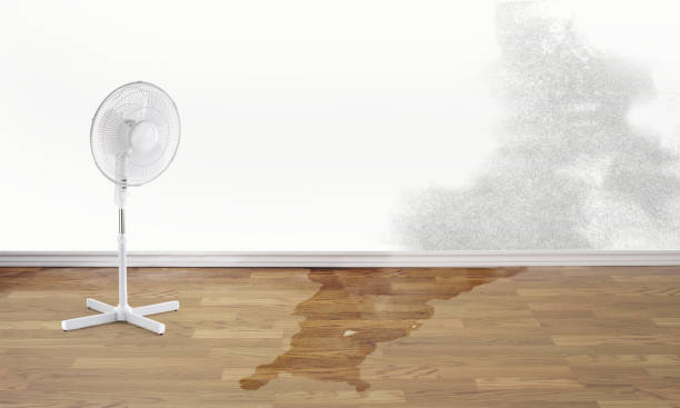 Best Water damage restoration near me  in New Castle Northwest, PA