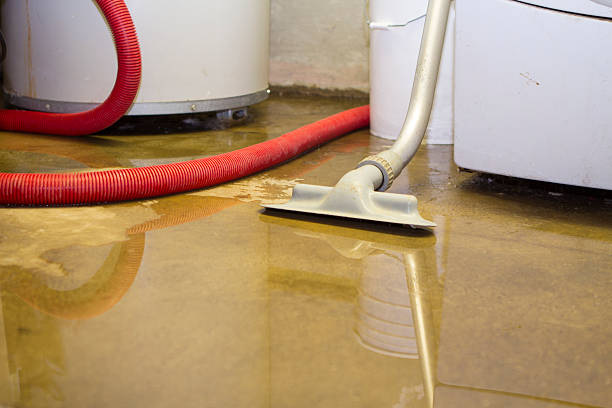 Best Local water damage restoration  in New Castle Northwest, PA