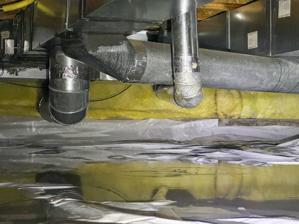 Best Water damage contractors near me  in New Castle Northwest, PA