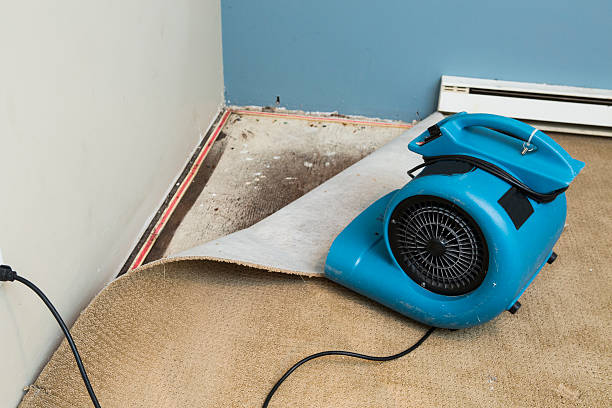 Best Sewage cleanup and water damage restoration  in New Castle Northwest, PA